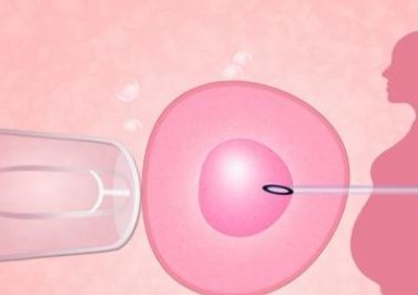 怎样才能提高卵子质量、改善子宫环境？