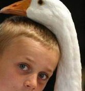 马来西亚试管婴儿医院有哪些？附试管医院排行榜一览！