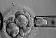 上海做试管婴儿有补贴吗？附上海试管补贴政策介绍！