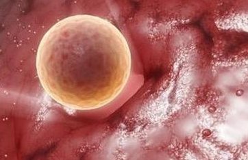 「预约挂号」深圳生殖医院做试管婴儿怎么样？哪家医院做试管成功率高